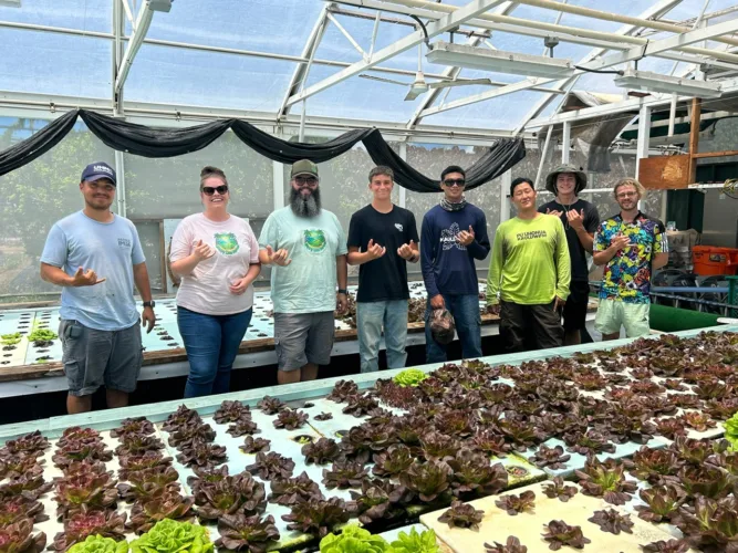 Ka‘ana Mana‘o: Our commitment to agriculture